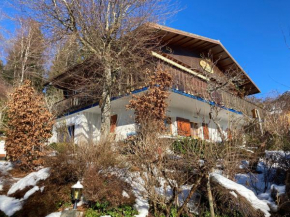 Chalet avec sauna et vue sur le lac